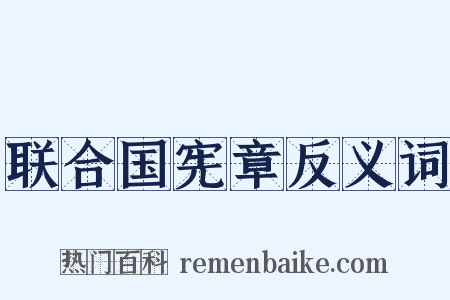 联合国宪章反义词是什么意思的图片